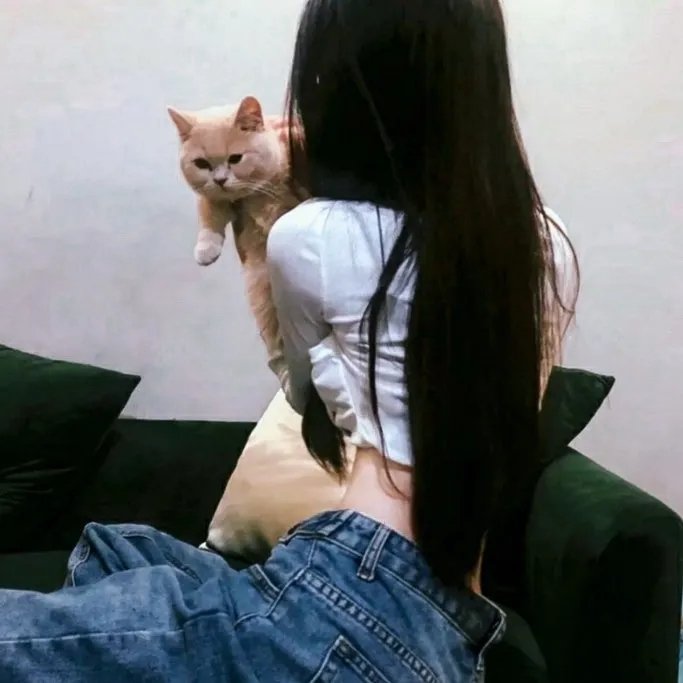 鸿运当头